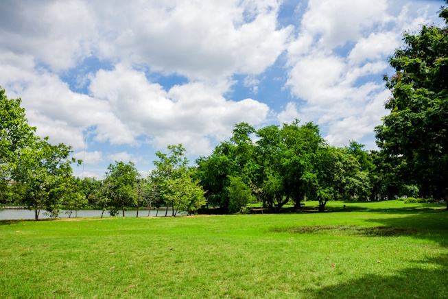 green park. green park in urban city at cloudy, excercise and relax